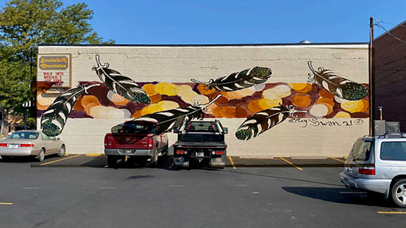 Feather Mural